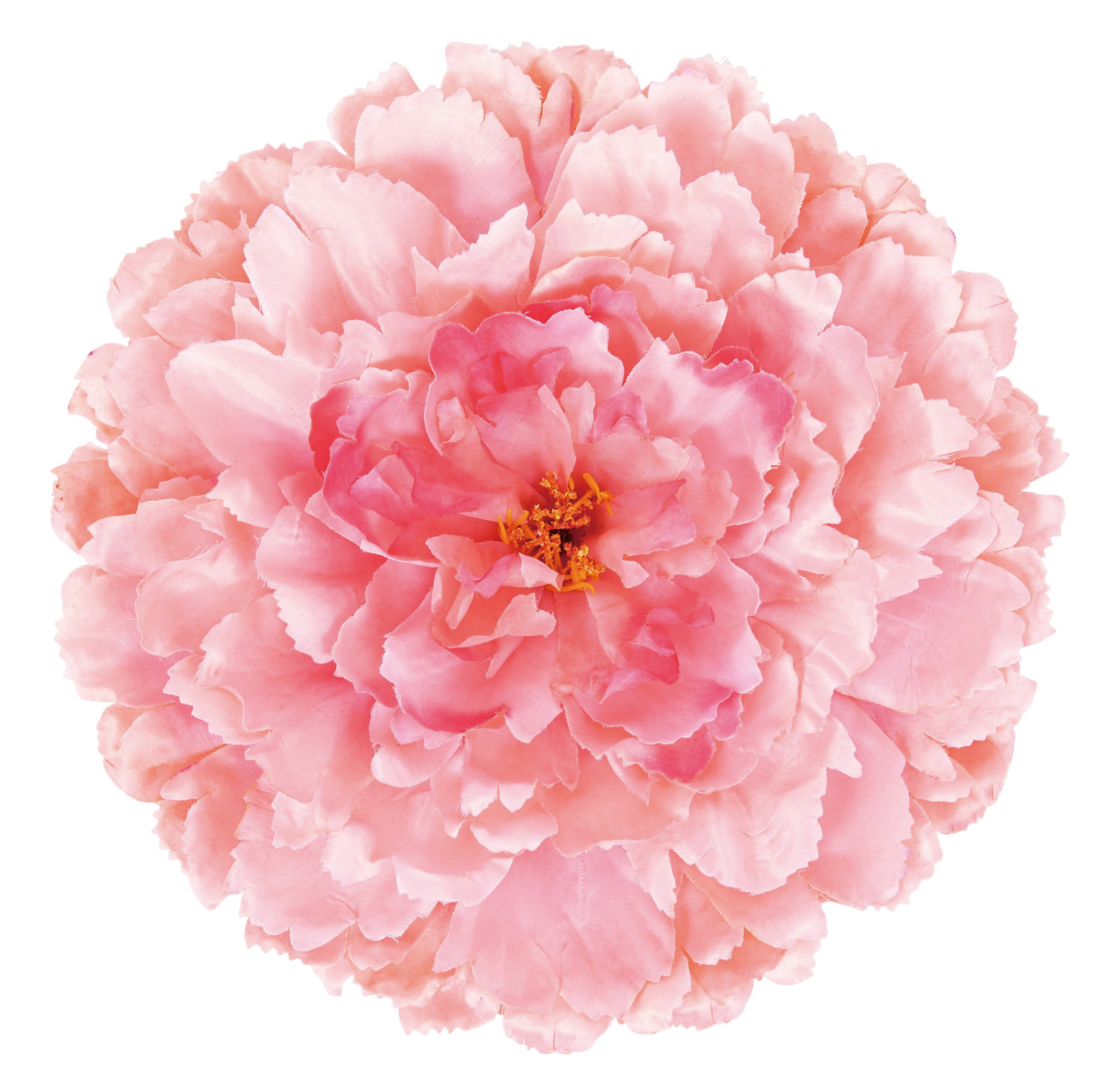 �y�l��z���s�z�ެ����ߵư (LT/MA)